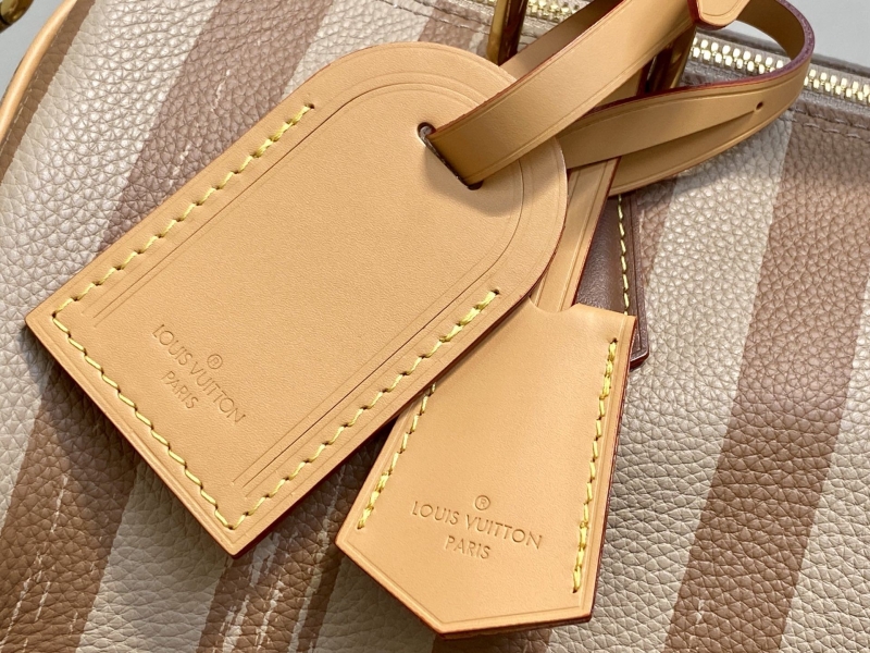LV Speedy Bags